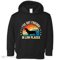 Retro Basset Hound IVe Got Friends In Low Places Toddler Hoodie thumb 0