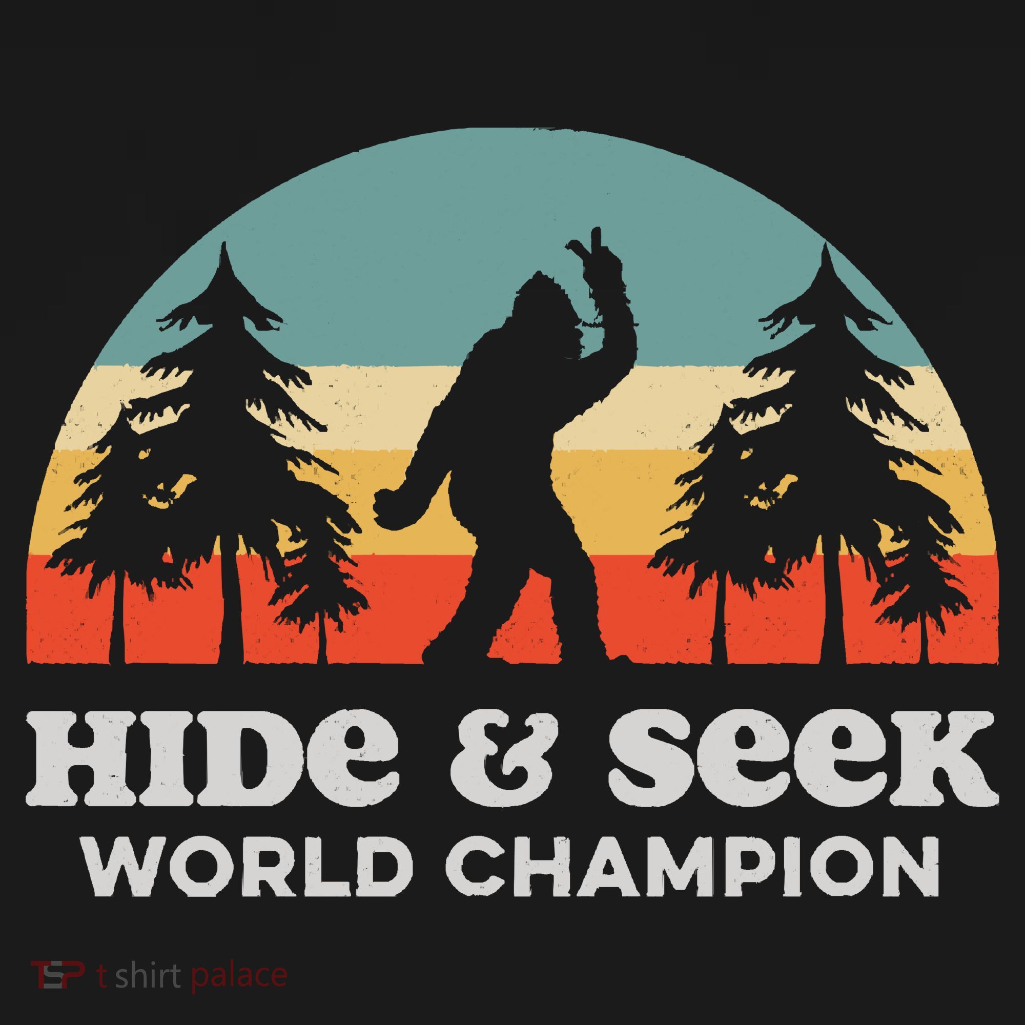 Retro Bigfoot Hide &Amp; Seek World Champion Women's Hoodie