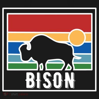 Retro Bison Logo Tie-Dye Long Sleeve Shirt