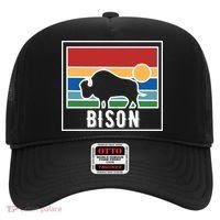 Retro Bison Logo Hat thumb 0