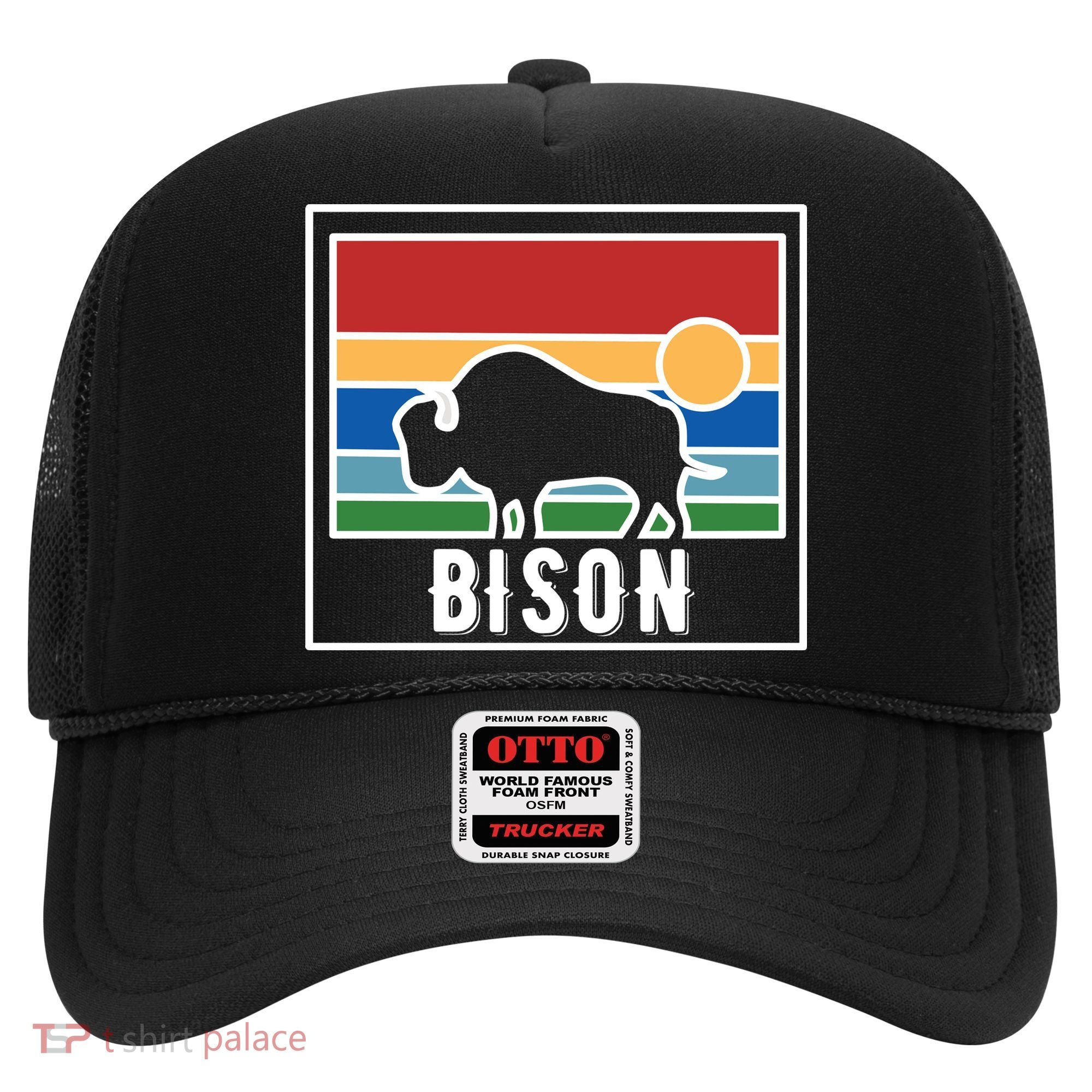 Retro Bison Logo Hat