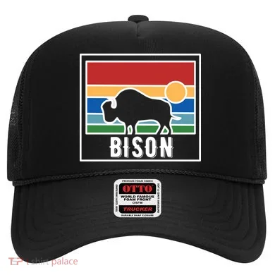 Retro Bison Logo Hat