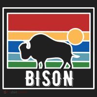 Retro Bison Logo Hat thumb 2