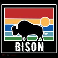 Retro Bison Logo Toddler Hoodie thumb 2