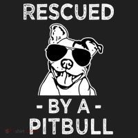 Rescued by my Pitbull Dog funny saying Tumbler thumb 3