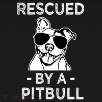 Rescued by my Pitbull Dog funny saying Ornament thumb 1