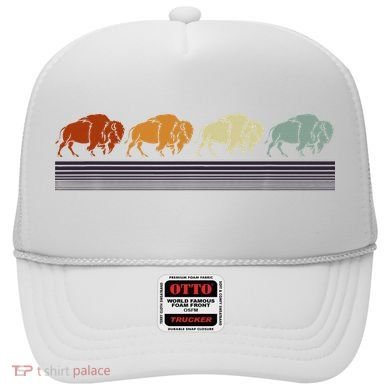 Retro Buffalo Hat