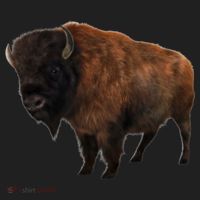 Realistic Bison Women's Sweatshirt thumb 2