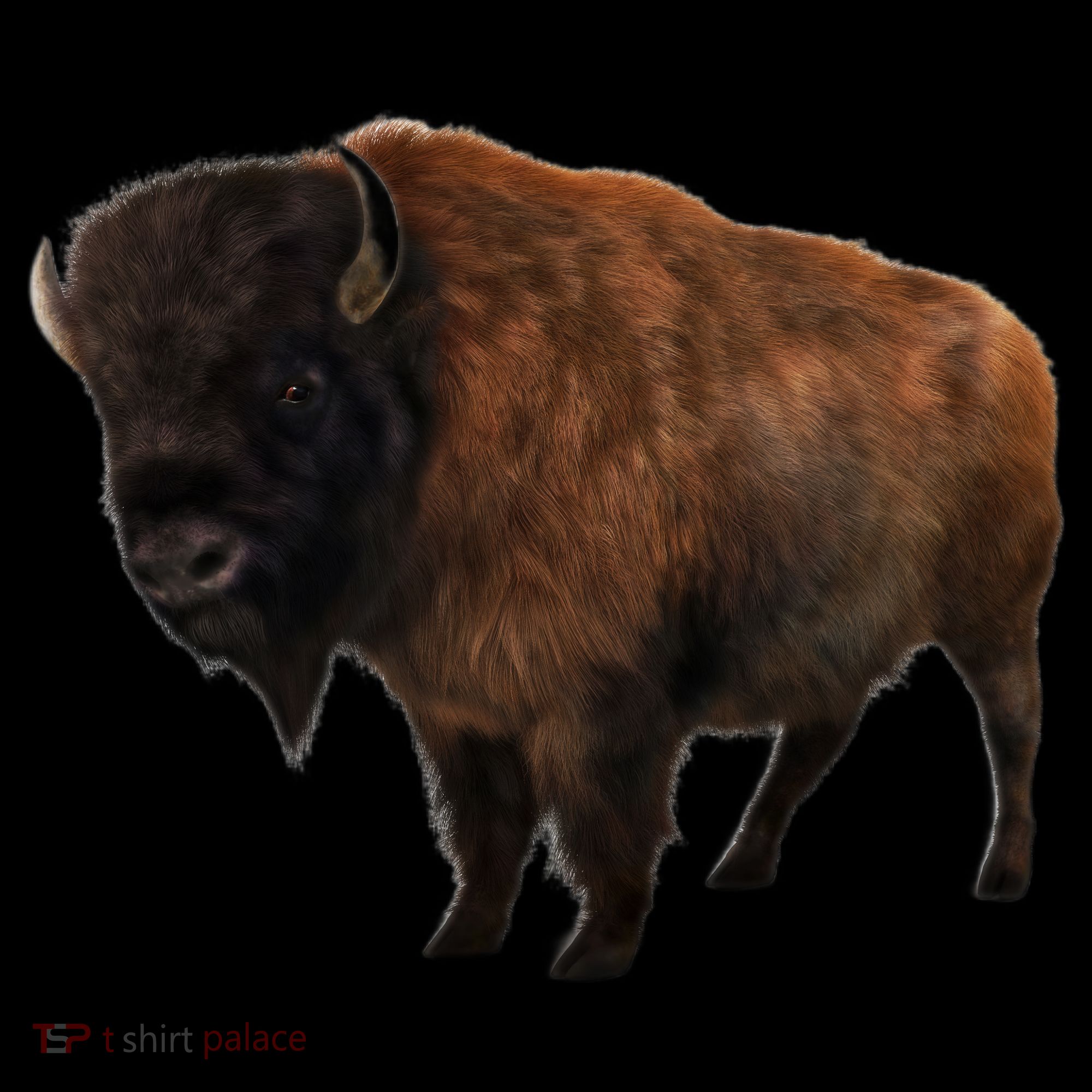 Realistic Bison Kids Long Sleeve Shirt