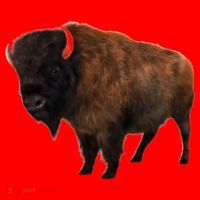 Realistic Bison Santa Hat thumb 1