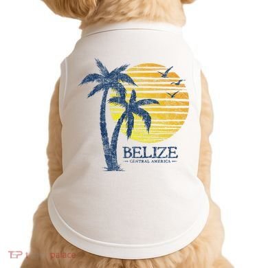Retro Belize Souvenir Vintage Sunset Doggie Tank