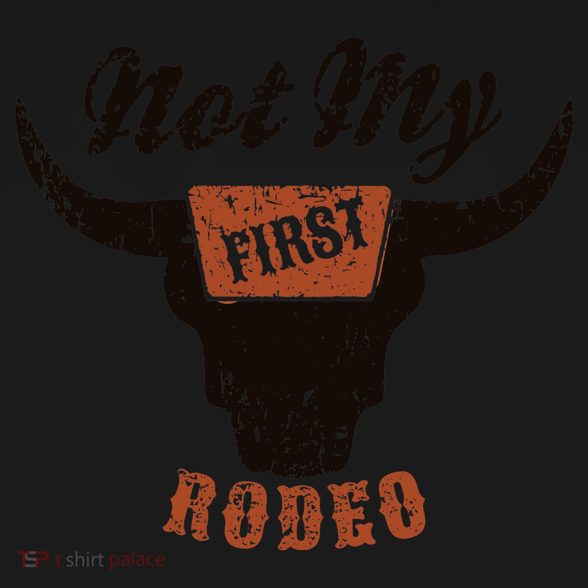 Retro Bull Skull Not My First Rodeo Western Country Cowboy T-Shirt