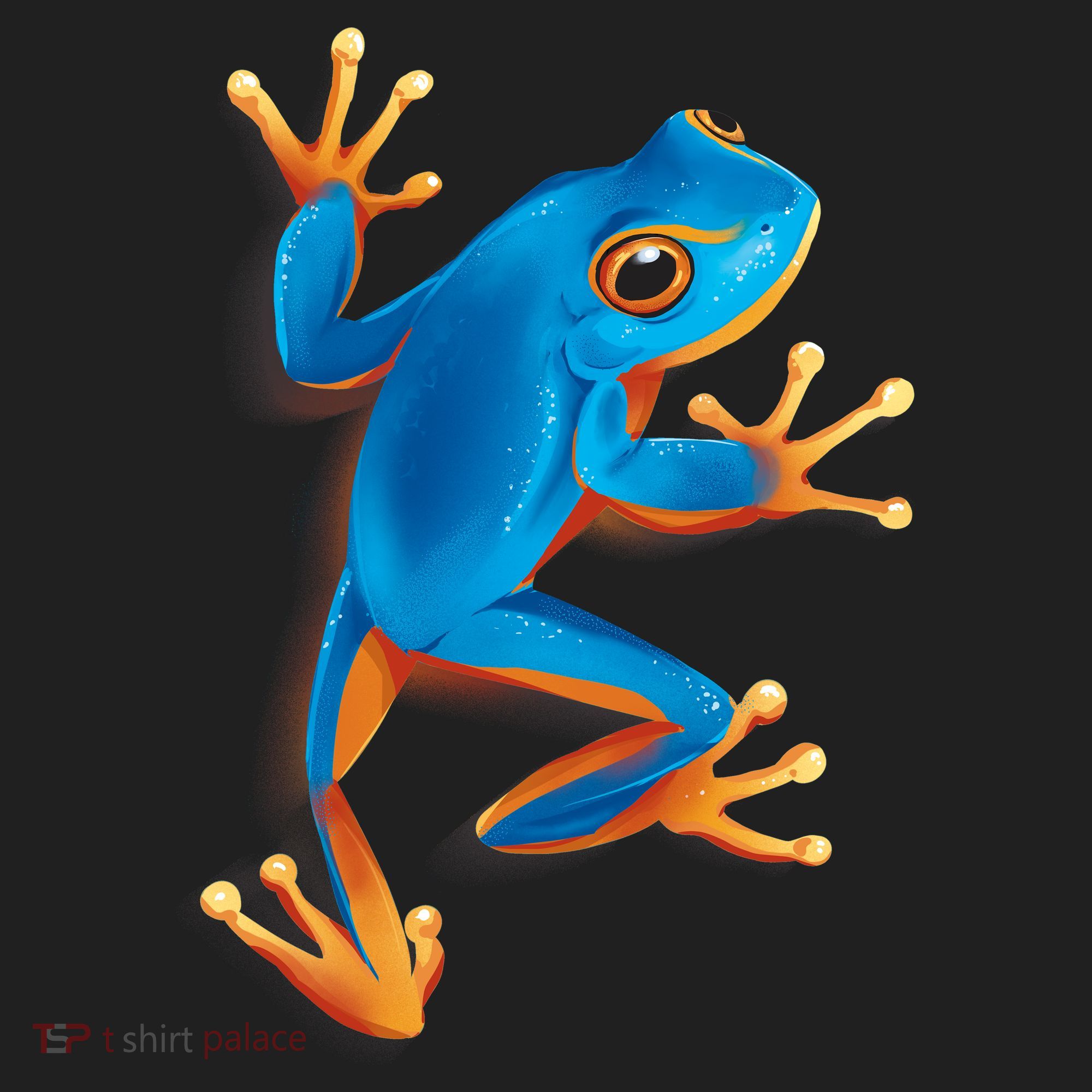 Realistic Blue Tree Frog Women's Sweatshirt