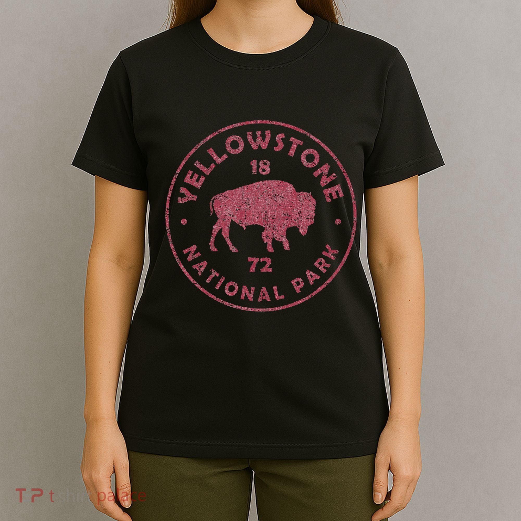 Retro Bison Yellowstone National Park 1872 Hiking Souvenir T-Shirt