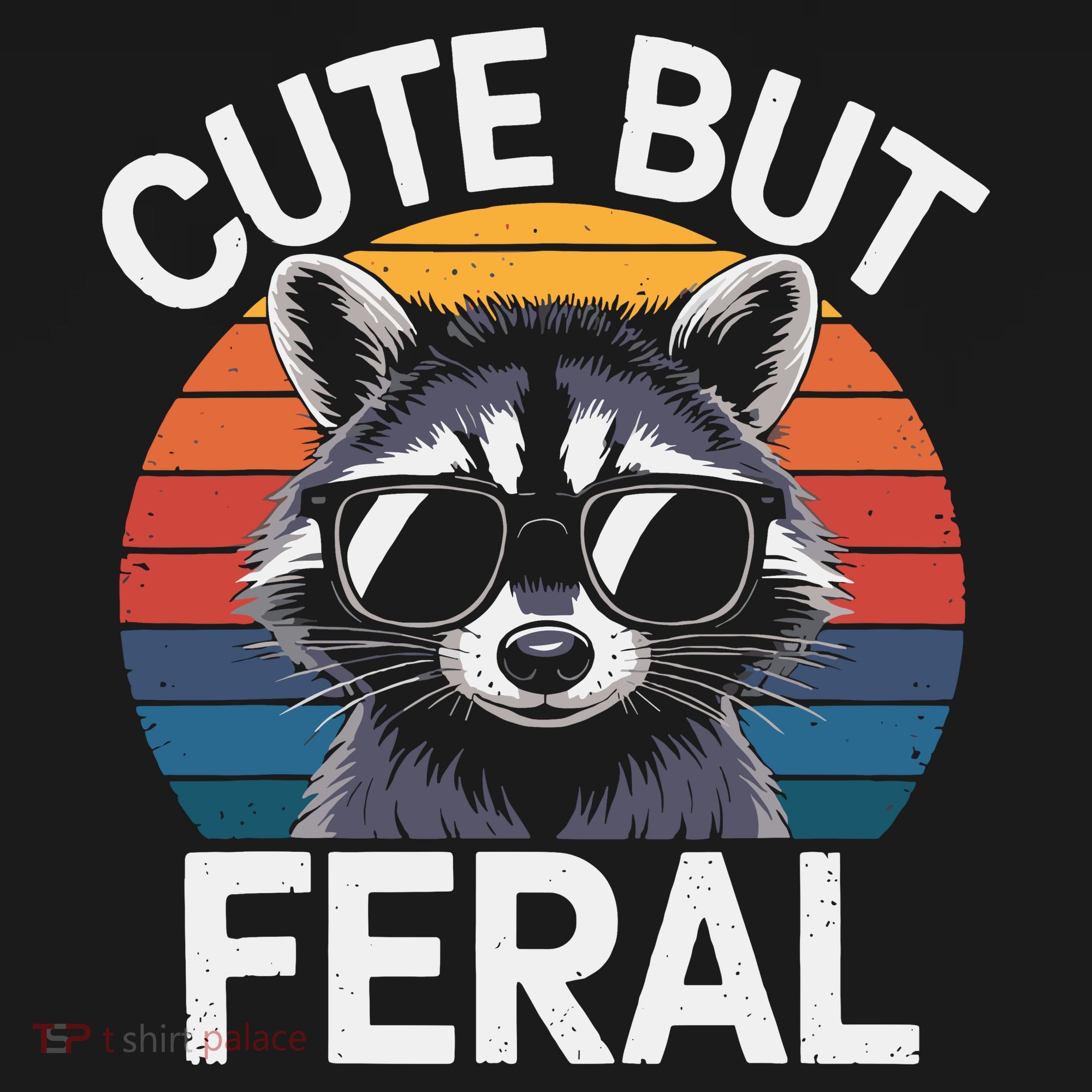 Racoon Cute But Feral Humor Teen Funny Women's Hoodie