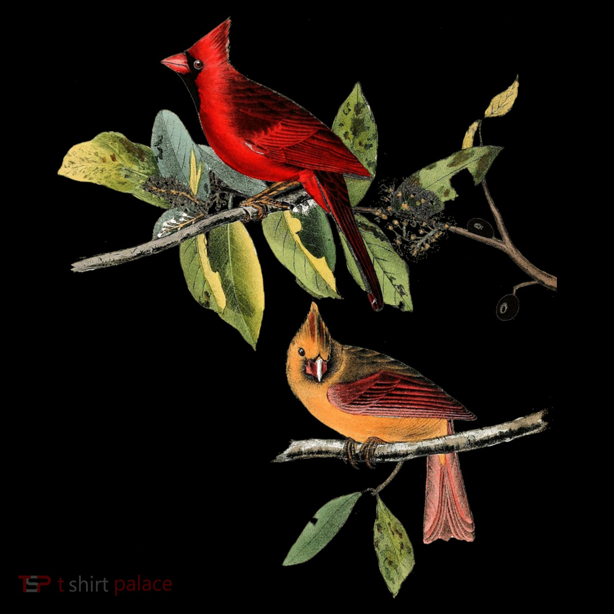 Red Cardinal Bird Male Female Gift For Cardinal Bird Lovers Gift Coffee Mug