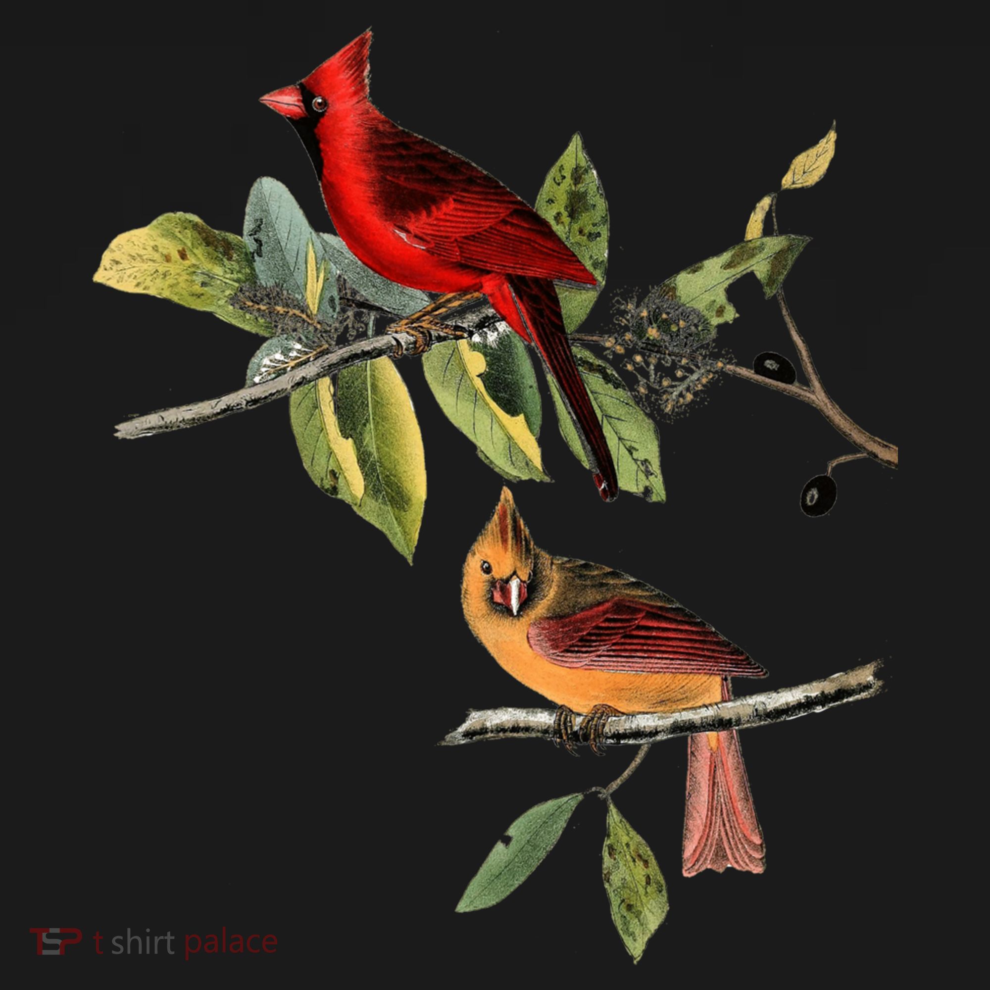 Red Cardinal Bird Male Female Gift For Cardinal Bird Lovers Gift Ornament