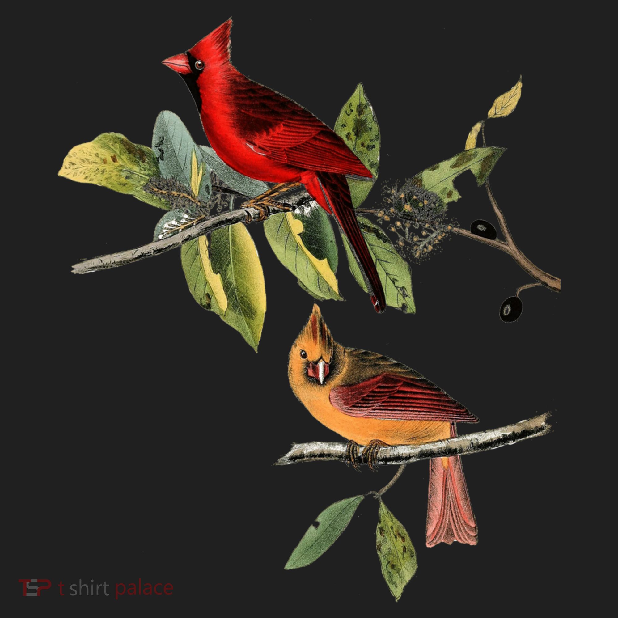 Red Cardinal Bird Male Female Gift For Cardinal Bird Lovers Gift Golf Towel