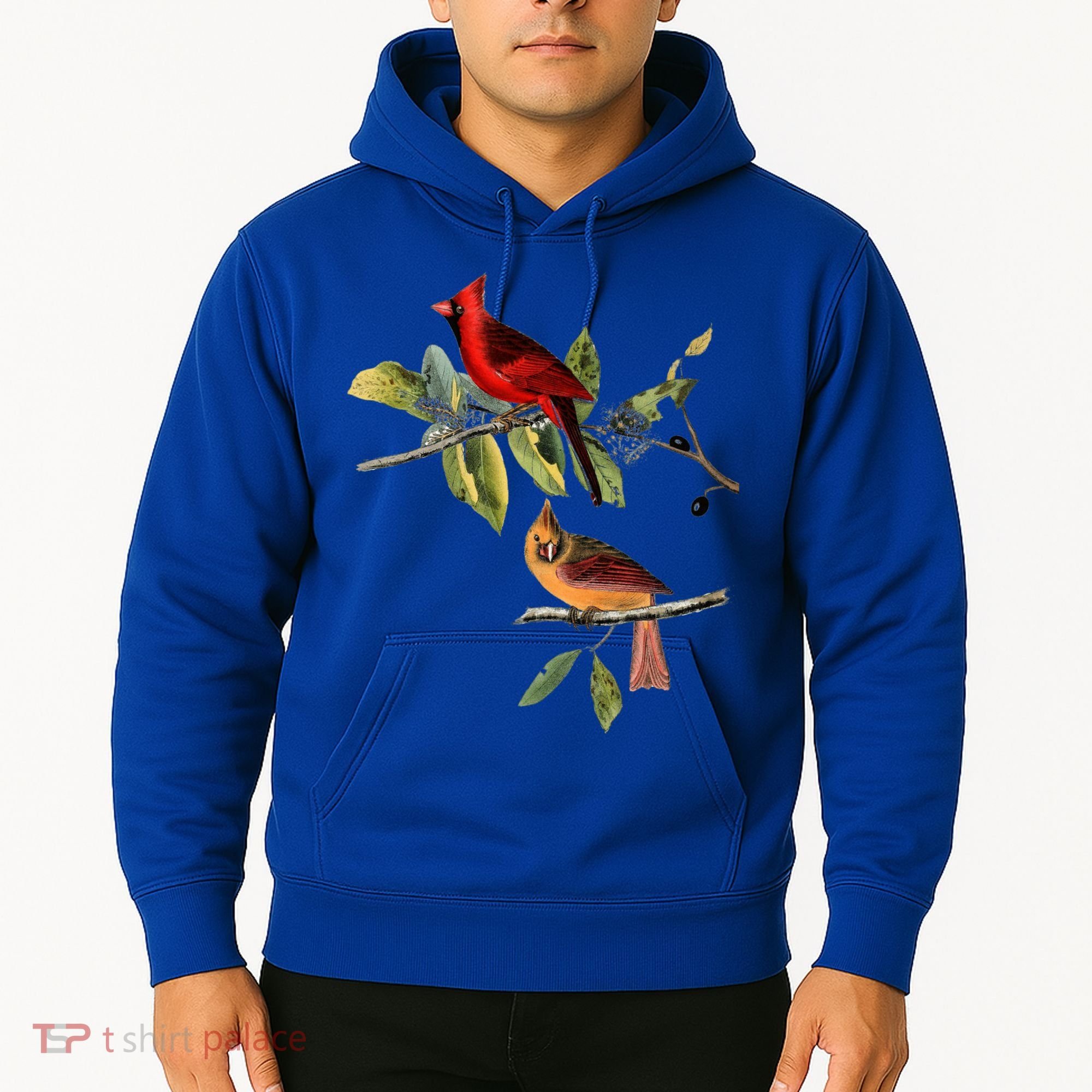 Red Cardinal Bird Male Female Gift For Cardinal Bird Lovers Gift Hoodie