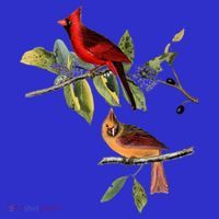 Red Cardinal Bird Male Female Gift For Cardinal Bird Lovers Gift Mousepad thumb 1