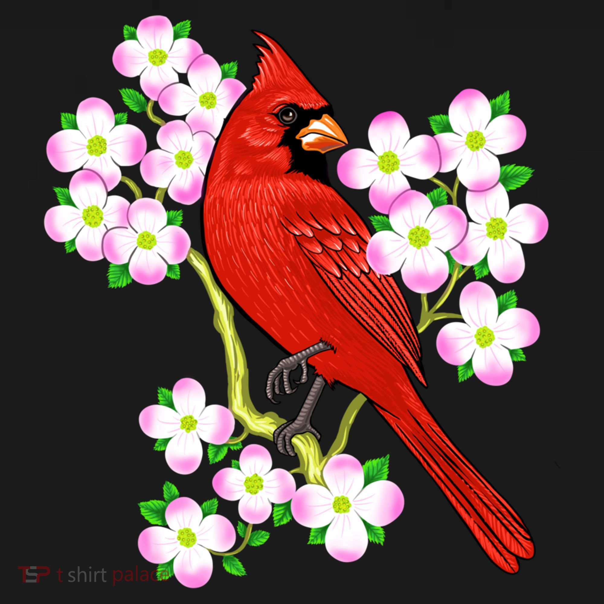 Red Cardinal Bird Dogwood Flower North Carolina Virginia Great Gift Women's Hoodie