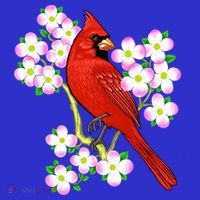 Red Cardinal Bird Dogwood Flower North Carolina Virginia Great Gift Women's Tank Top thumb 5