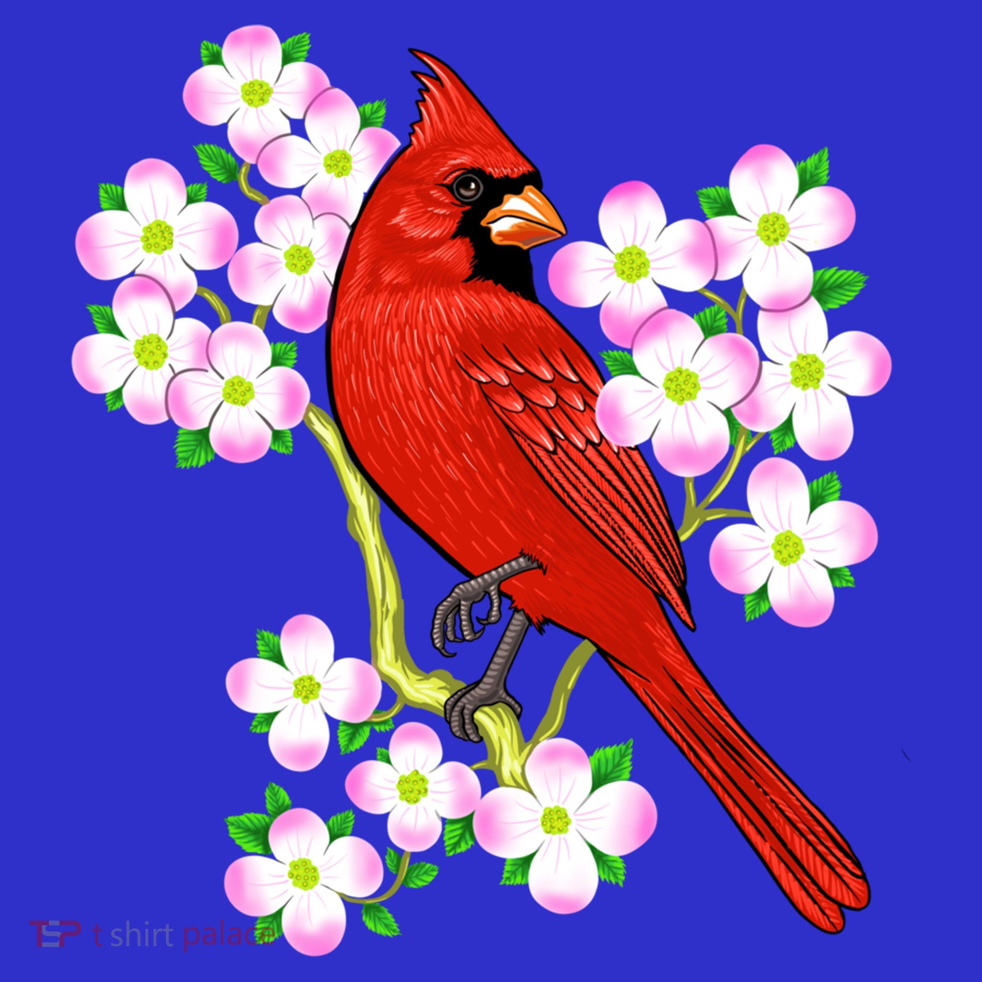 Red Cardinal Bird Dogwood Flower North Carolina Virginia Great Gift Visor