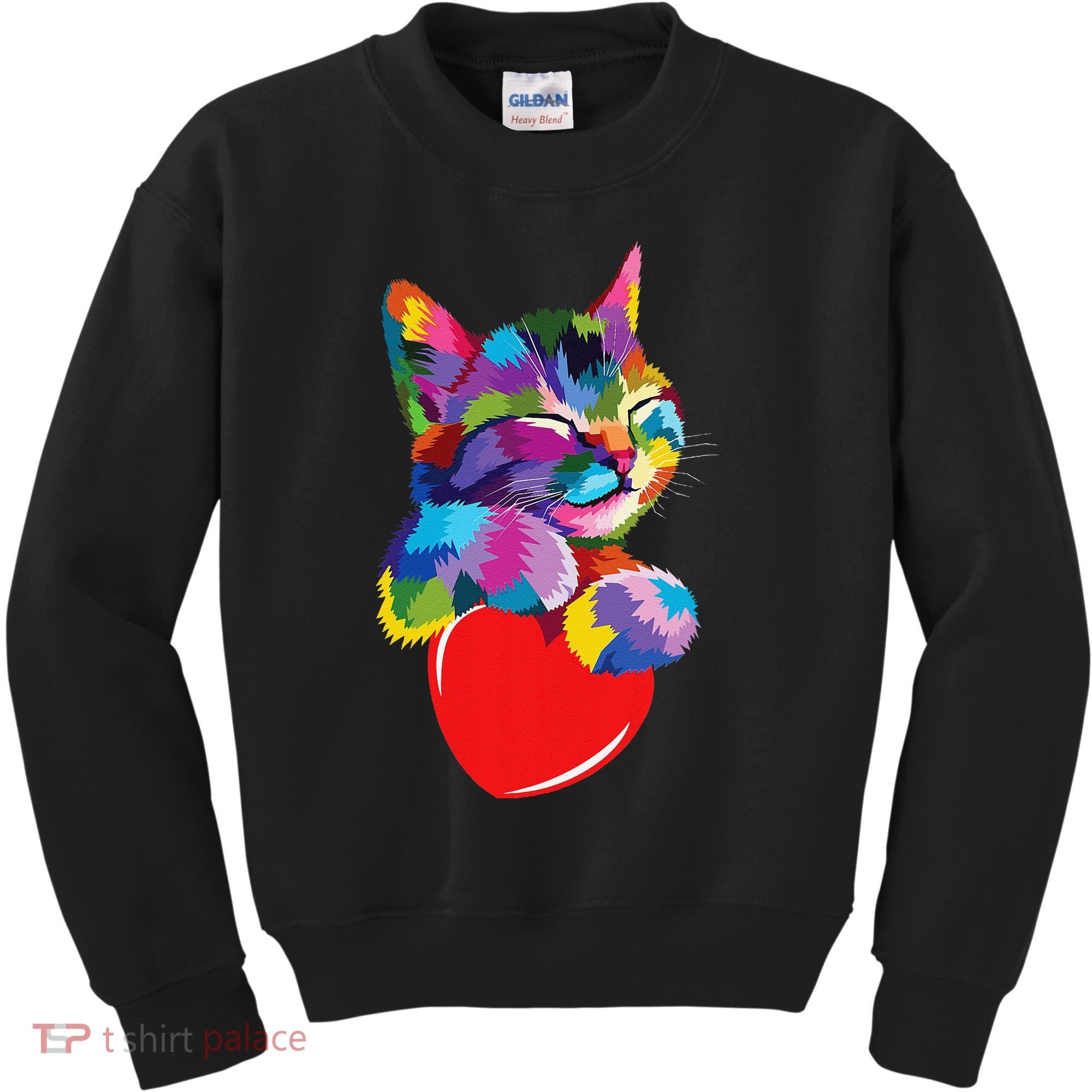 Rainbow Cute Cat Hugging Heart Kitty Love Cat Kids Sweatshirt