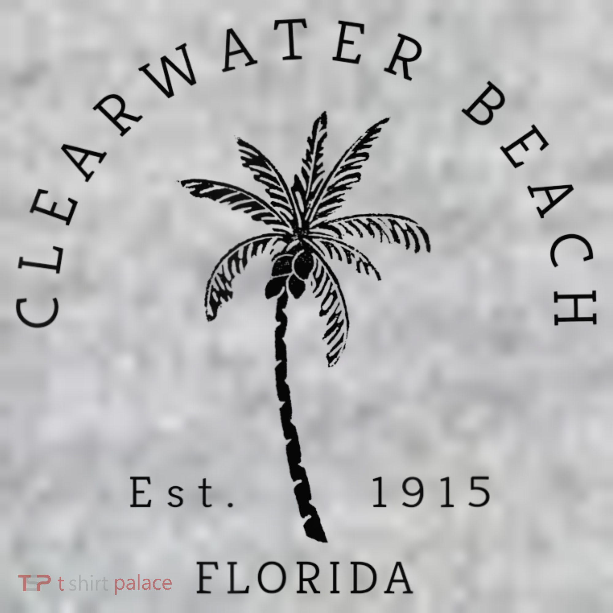 Retro Cool Clearwater Beach Original Florida Beaches Kids T-Shirt