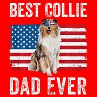 Rough Collie Dad American Flag Collie Dog Lover Owner Funny Santa Hat thumb 1