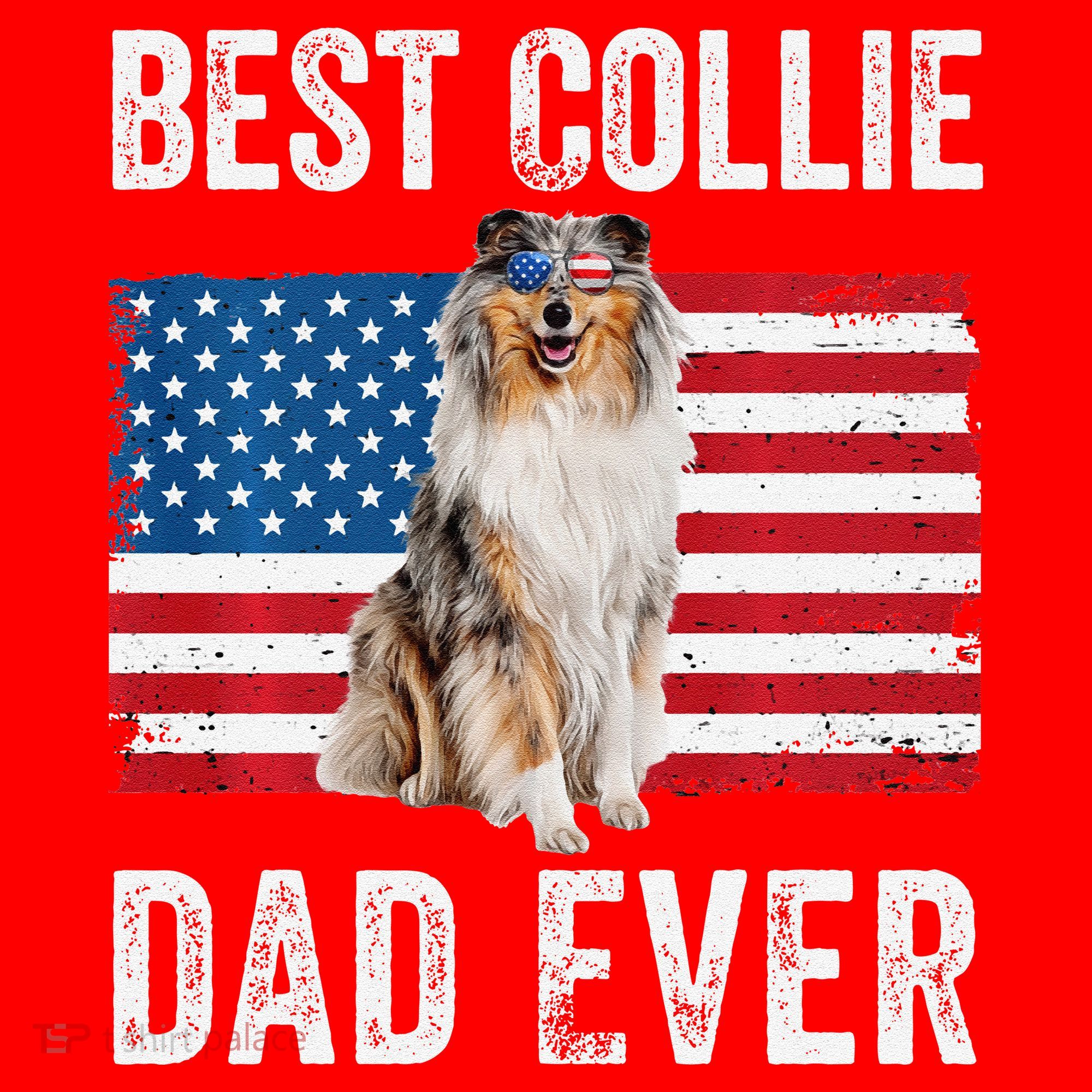 Rough Collie Dad American Flag Collie Dog Lover Owner Funny Santa Hat