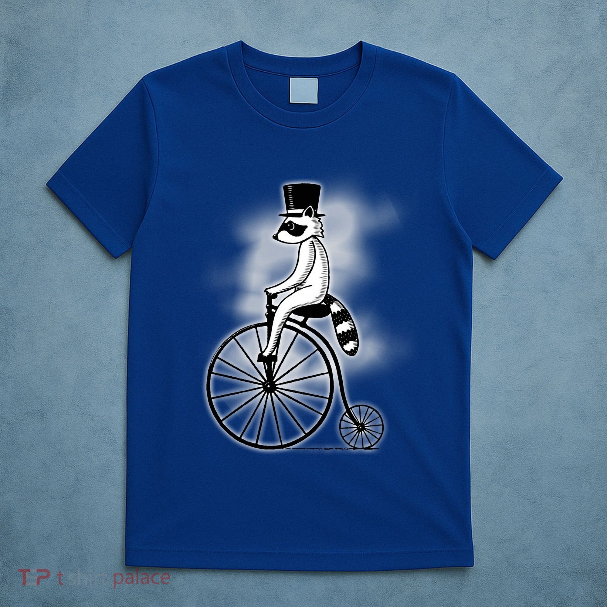 Raccon Circus Funny Fancy Raccon T-Shirt