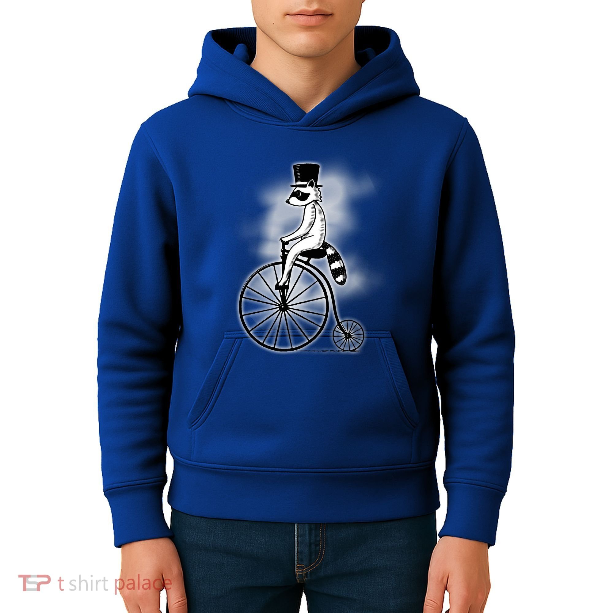 Raccon Circus Funny Fancy Raccon Kids Hoodie