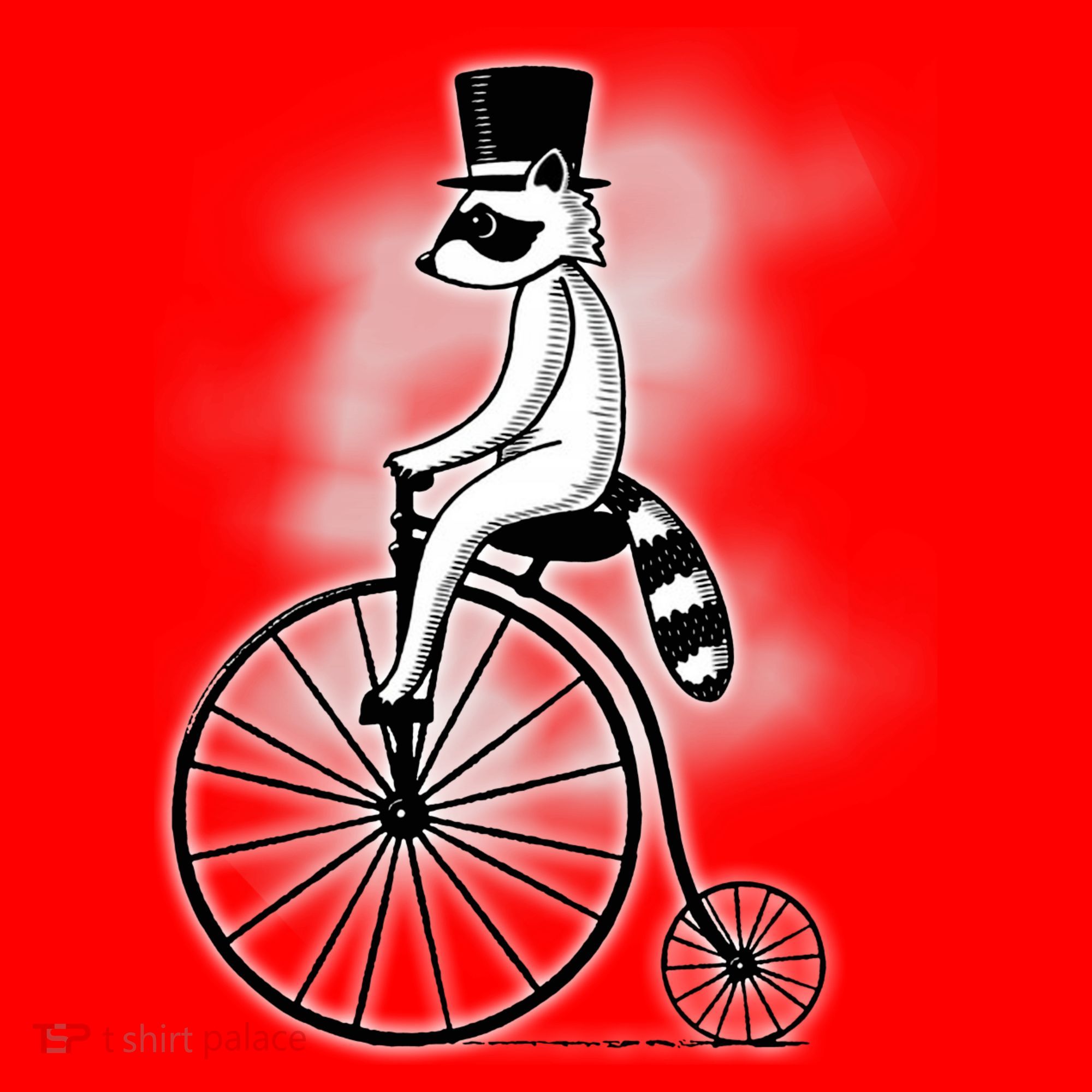 Raccon Circus Funny Fancy Raccon Santa Hat