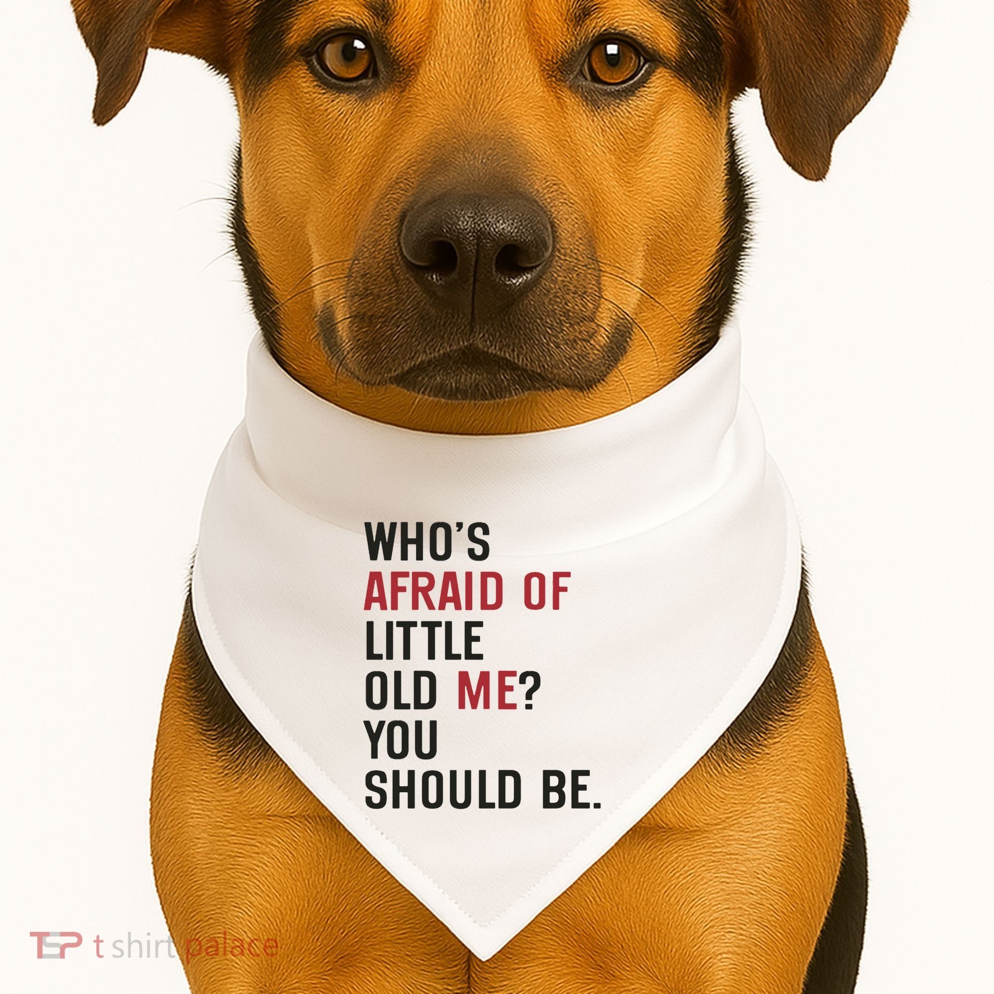 Retro Concert Funny Slogan USA-Made Doggie Bandana