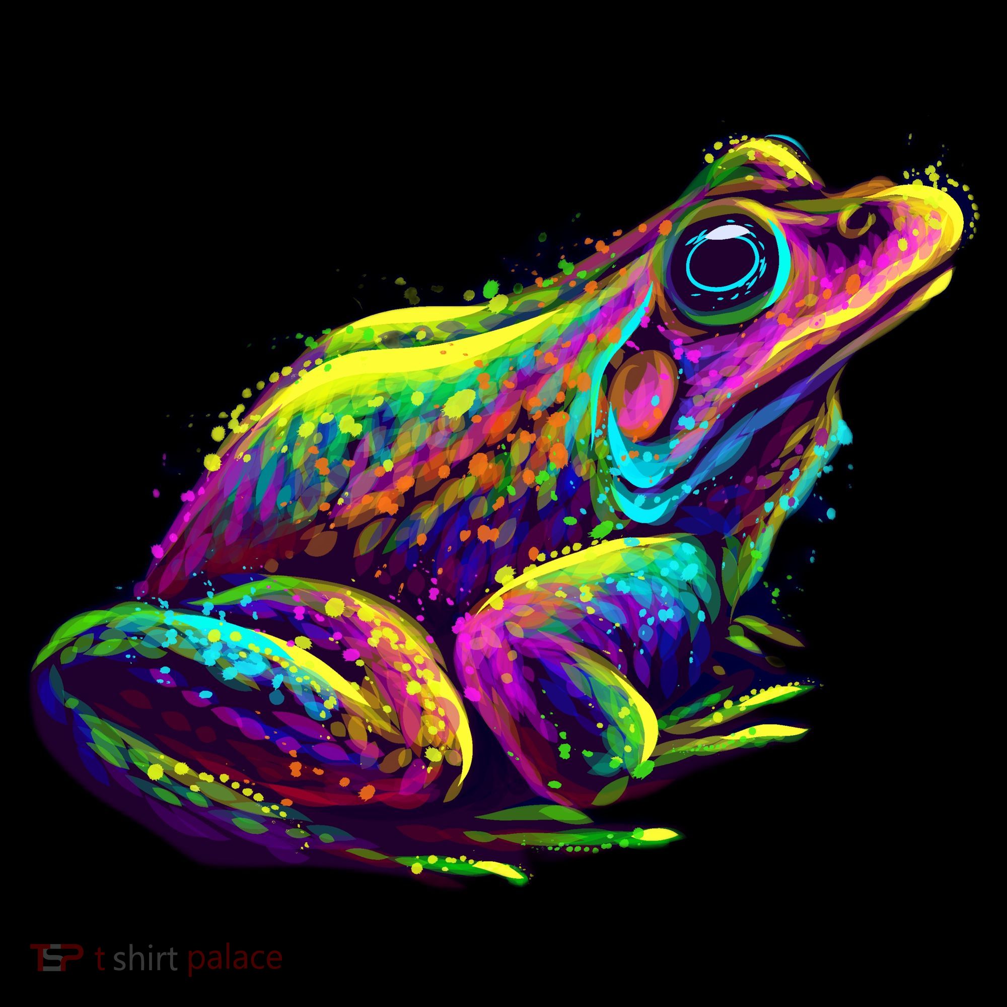 Realistic Colorful Frog Abstract Pose T-Shirt