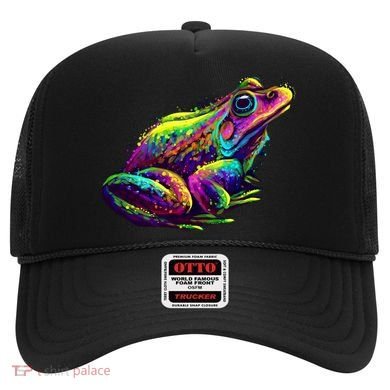 Realistic Colorful Frog Abstract Pose Hat