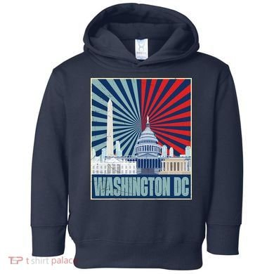 Retro Capitol Hill Washington DC American Flag Toddler Hoodie