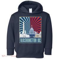 Retro Capitol Hill Washington DC American Flag Toddler Hoodie thumb 0