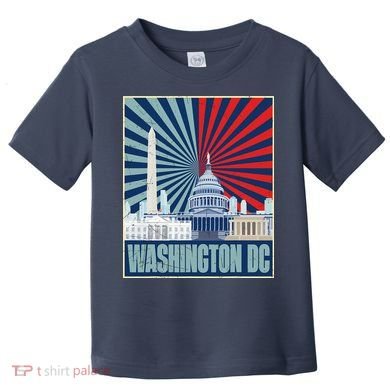 Retro Capitol Hill Washington DC American Flag Toddler T-Shirt