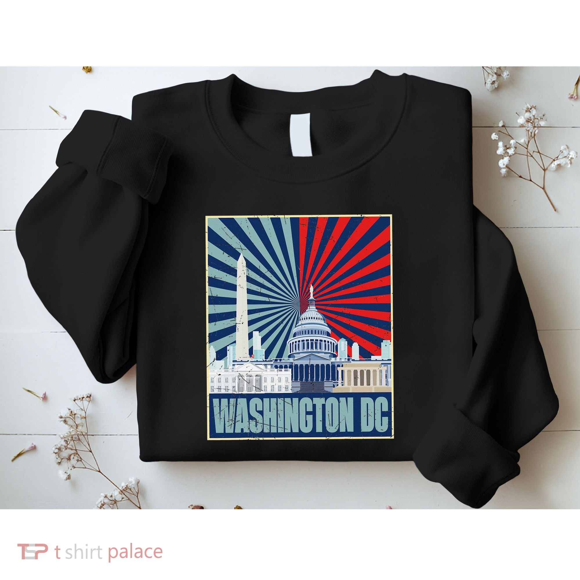 Retro Capitol Hill Washington DC American Flag 4th Of July Sweatshirt