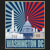 Retro Capitol Hill Washington DC American Flag Beanie thumb 2