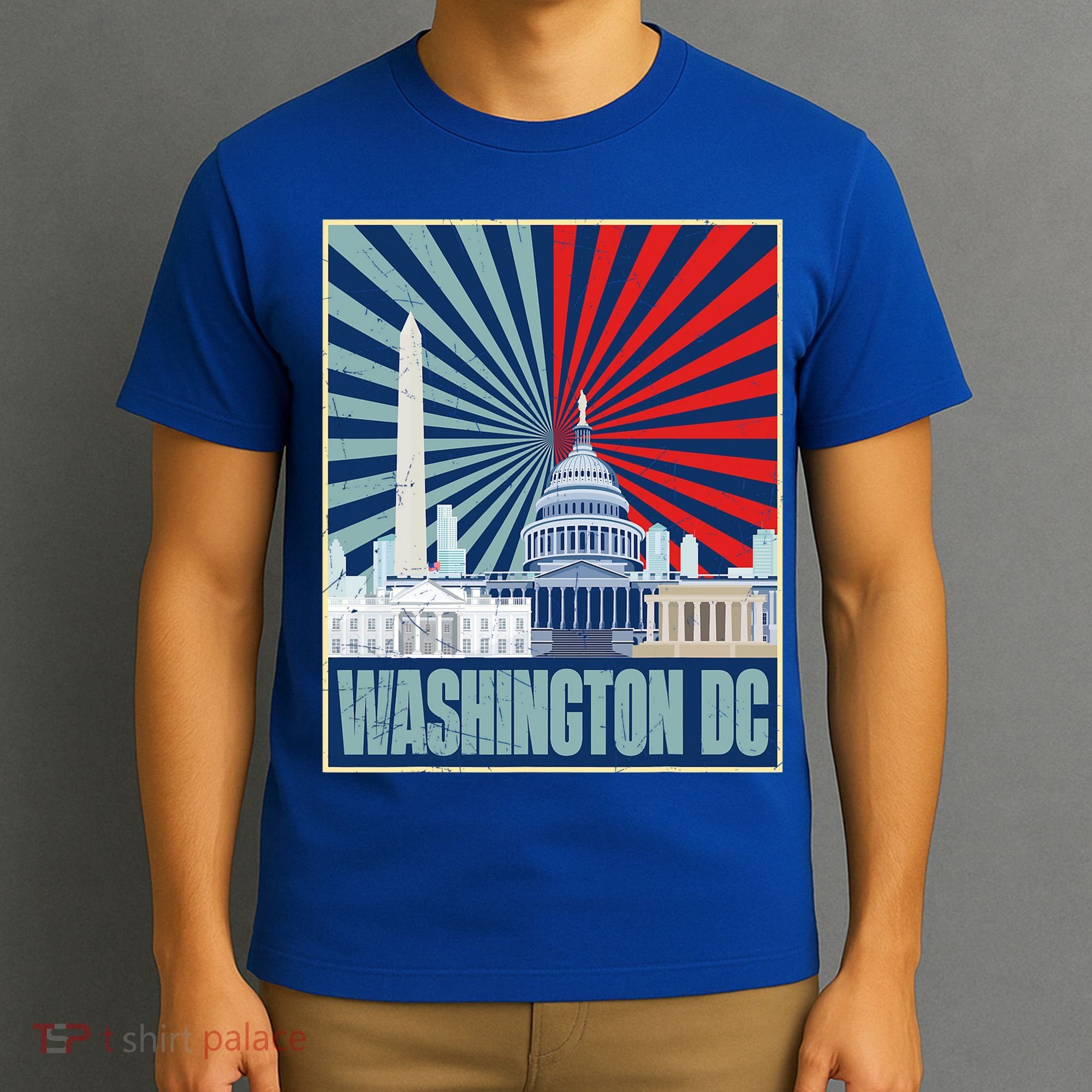 Retro Capitol Hill Washington DC American Flag T-Shirt