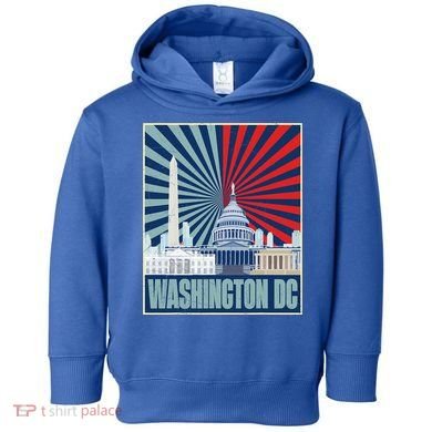 Retro Capitol Hill Washington DC American Flag Toddler Hoodie