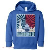 Retro Capitol Hill Washington DC American Flag Toddler Hoodie thumb 0