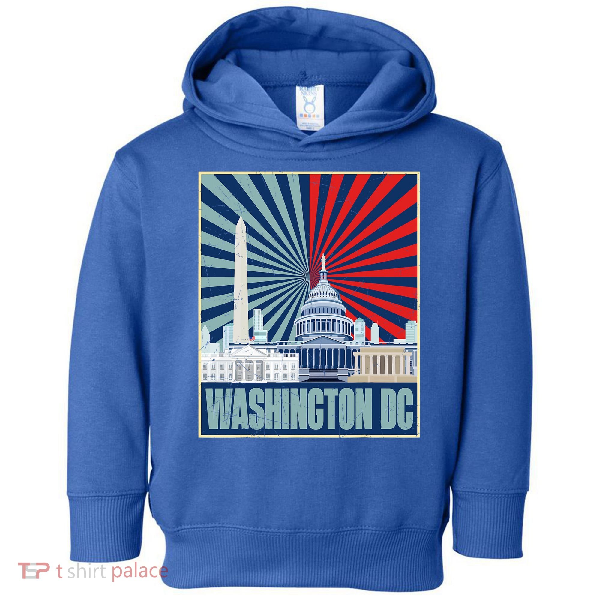 Retro Capitol Hill Washington DC American Flag Toddler Hoodie