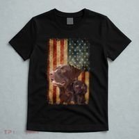 Retro Chocolate Lab With Usa Flag Gift Chocolate Lab Dad Mom T-Shirt thumb 5