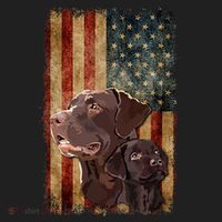 Retro Chocolate Lab With Usa Flag Gift Chocolate Lab Dad Mom Beanie thumb 2