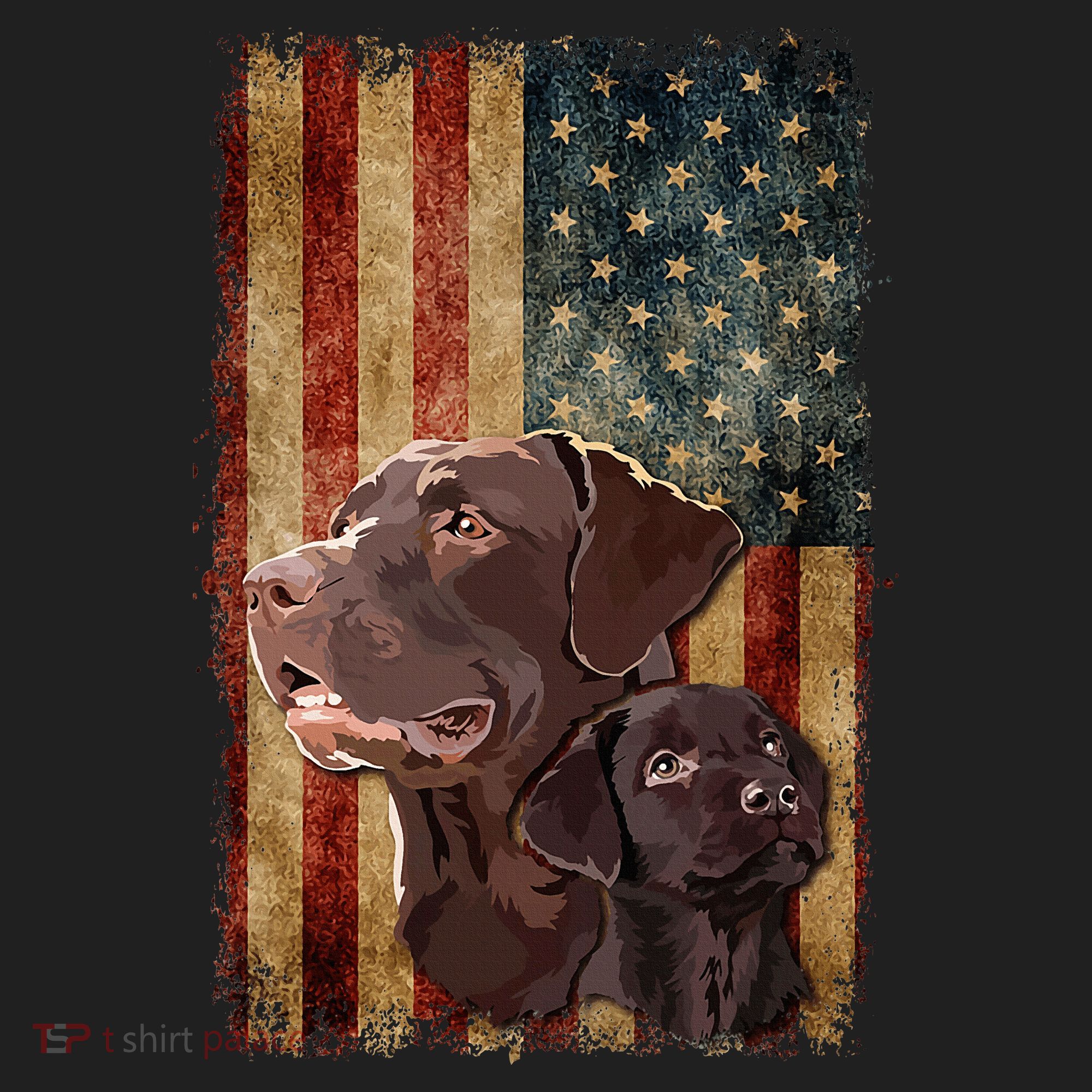 Retro Chocolate Lab With Usa Flag Gift Chocolate Lab Dad Mom Beanie