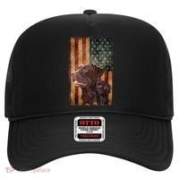 Retro Chocolate Lab With Usa Flag Gift Chocolate Lab Dad Mom Hat thumb 0